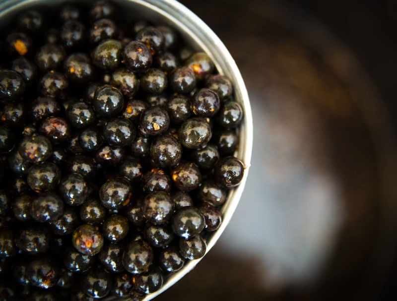 AÇAI NA TIGELA
