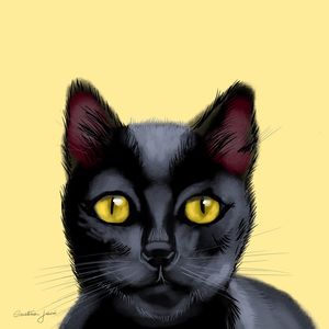 GATO PRETO NO AMARELO