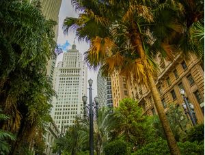 SELVA URBANA