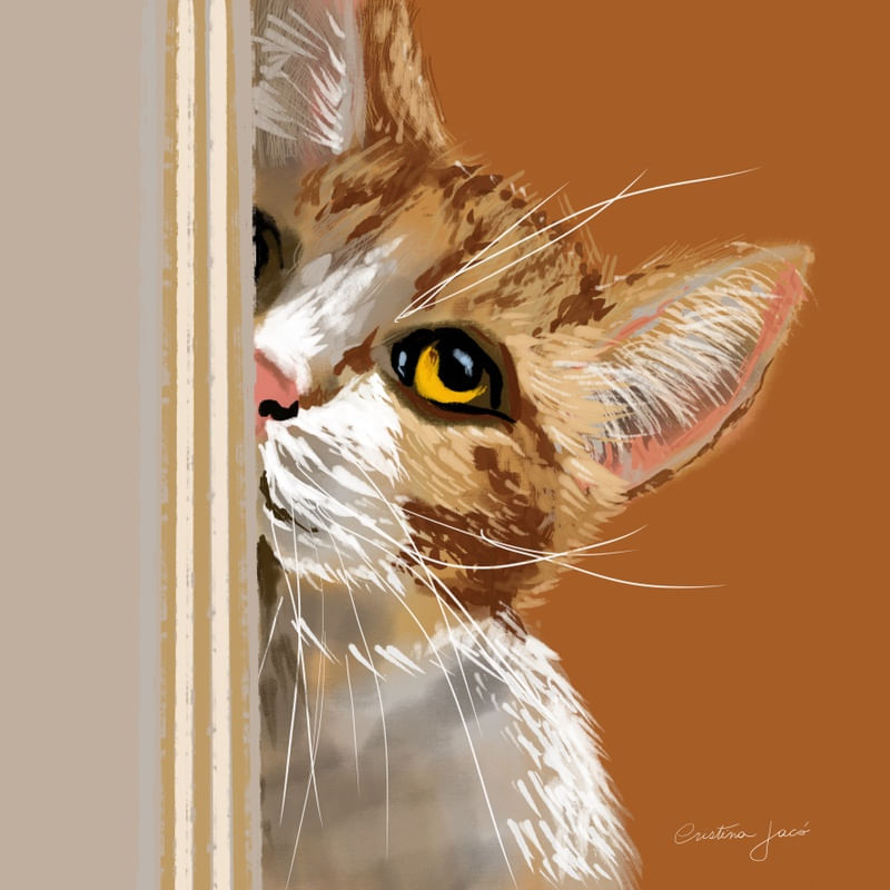 GATO BEGE