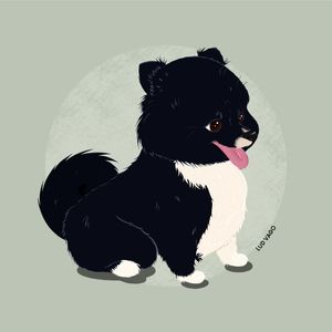 FOFINHO