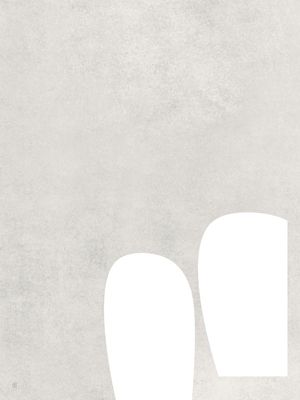 LE GRIS ET LE BLANC-7