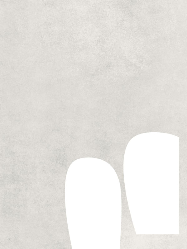 LE GRIS ET LE BLANC-7