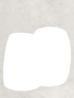 LE GRIS ET LE BLANC-13
