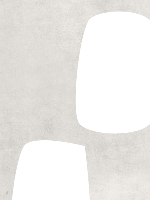 LE GRIS ET LE BLANC-15