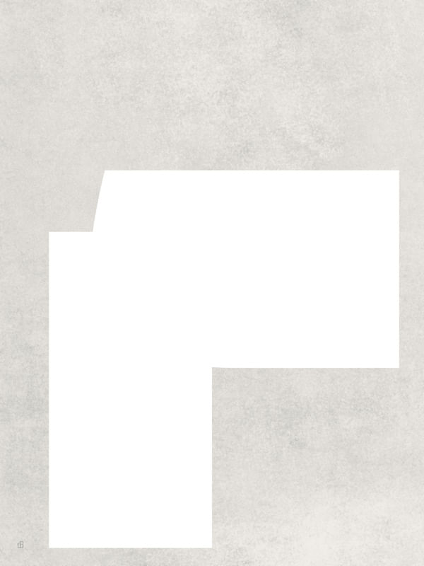 LE GRIS ET LE BLANC-17
