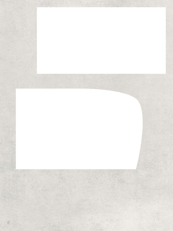 LE GRIS ET LE BLANC-18