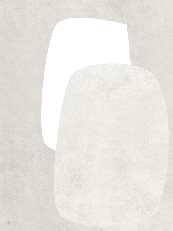 LE GRIS ET LE BLANC-20