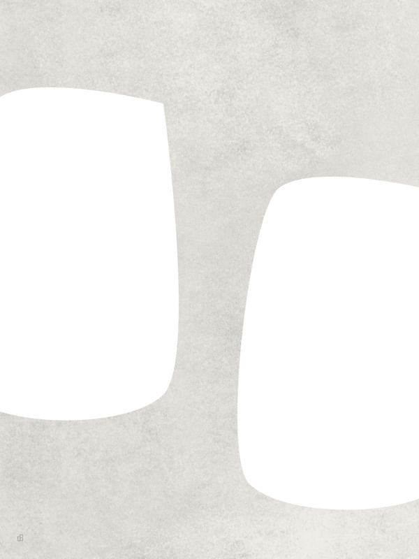 LE GRIS ET LE BLANC-21