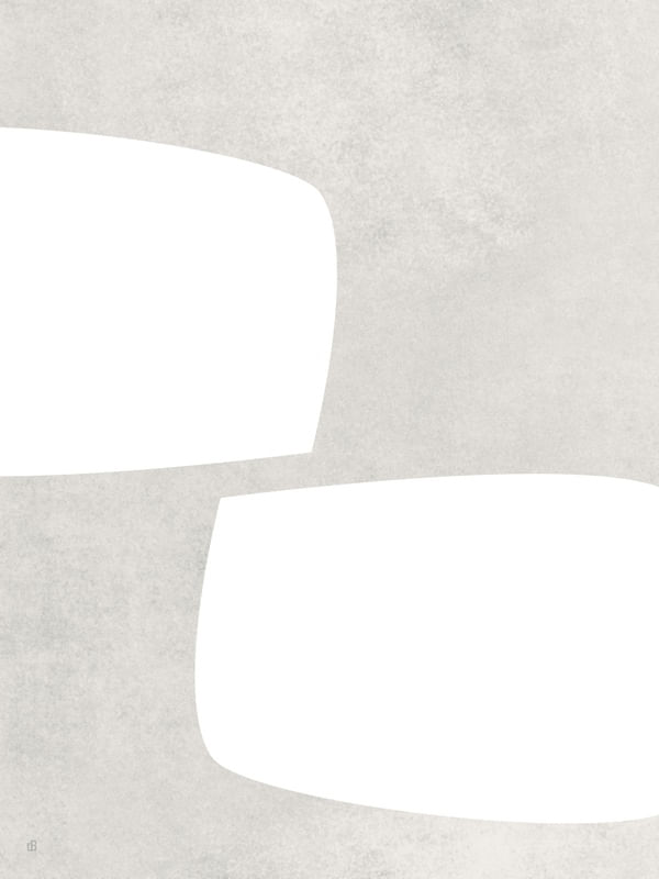 LE GRIS ET LE BLANC-23