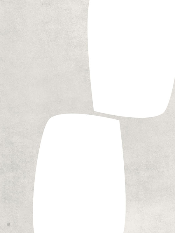 LE GRIS ET LE BLANC-25