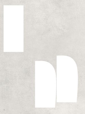 LE GRIS ET LE BLANC-3