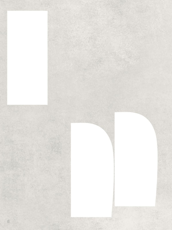 LE GRIS ET LE BLANC-3