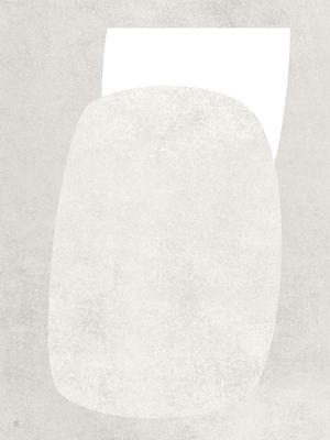 LE GRIS ET LE BLANC-4