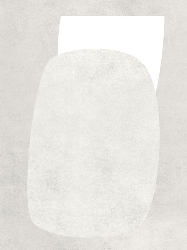 LE GRIS ET LE BLANC-4