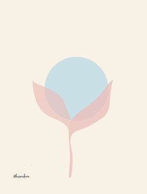 ROSA | SOL