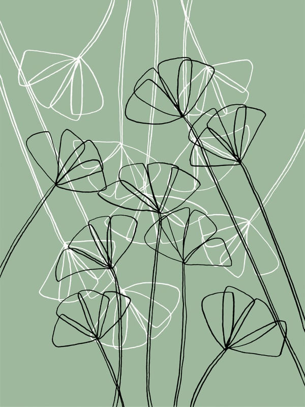POPPIES 1, FLORAL MINIMALIST SKETCH