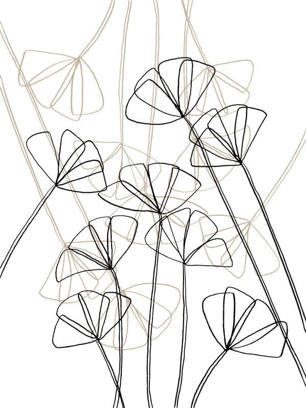 POPPIES 8, FLORAL MINIMALIST SKETCH