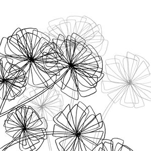 FLORAL CONSTRUCT 2, BLACK & WHITE MINIMALIST SKETCH