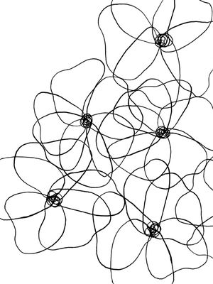 FLOWER POWER, BLACK AND WHITE