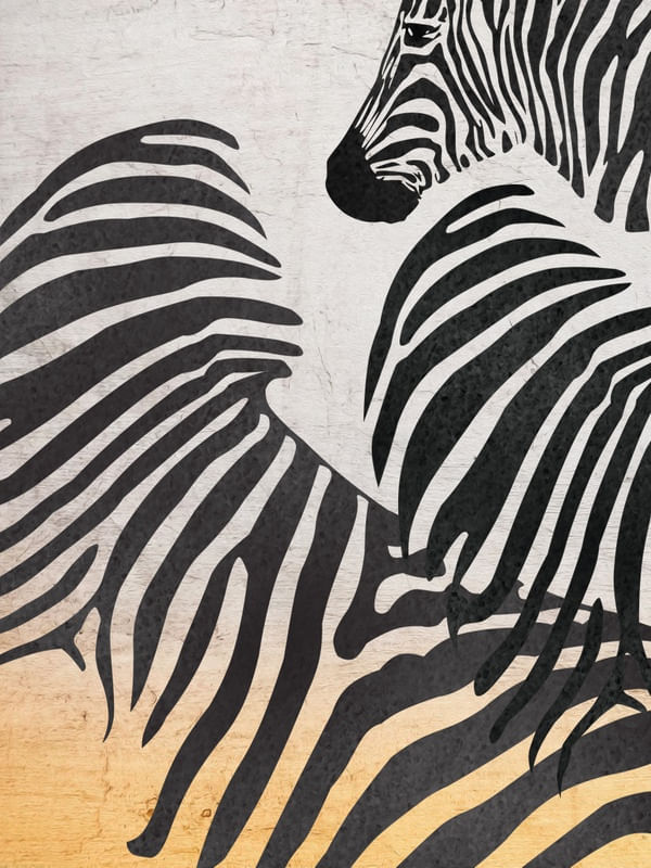 ZEBRAS ABSTRACT