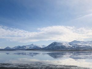 REFLECTIONS LANDSCAPE