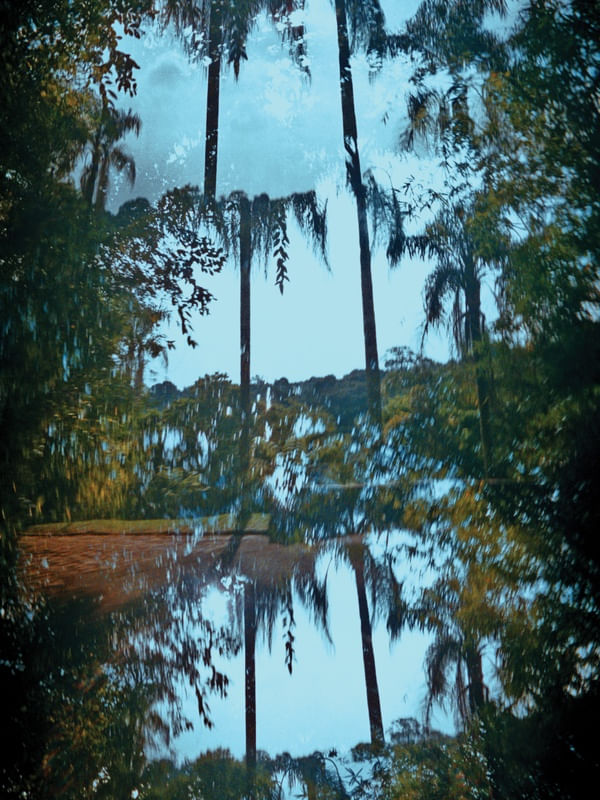 SÉRIE BOTÂNICA 02