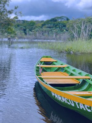 PARACUTACA