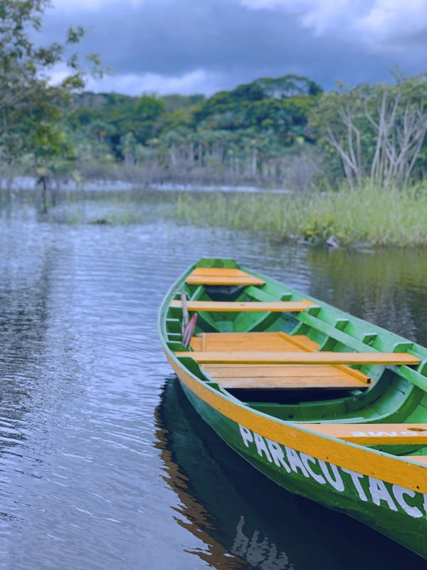PARACUTACA