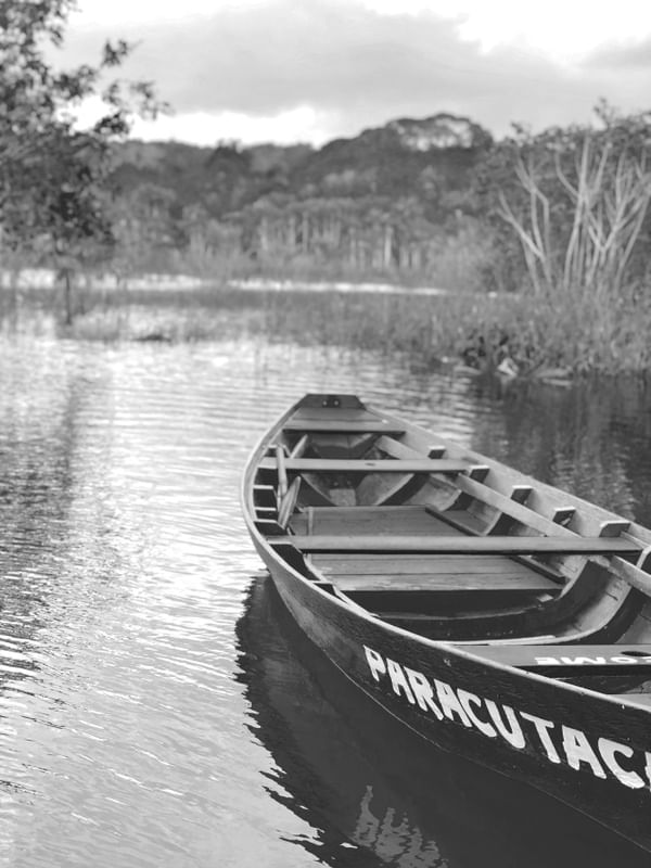 PARACUTACA P&B