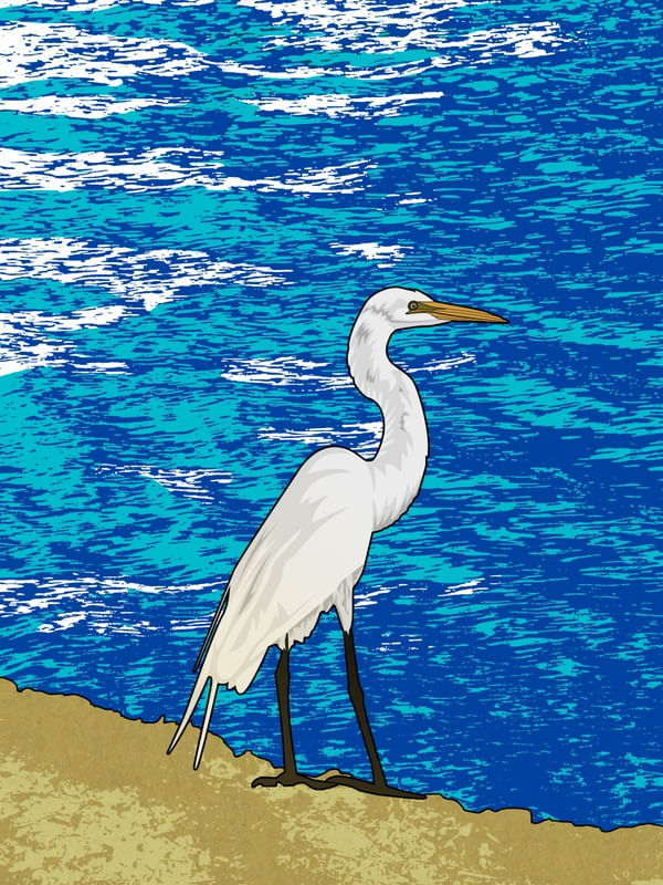 A GARÇA Nº 2