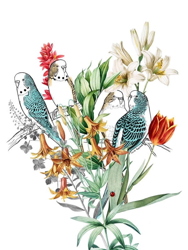 PARAKEET BOUQUET