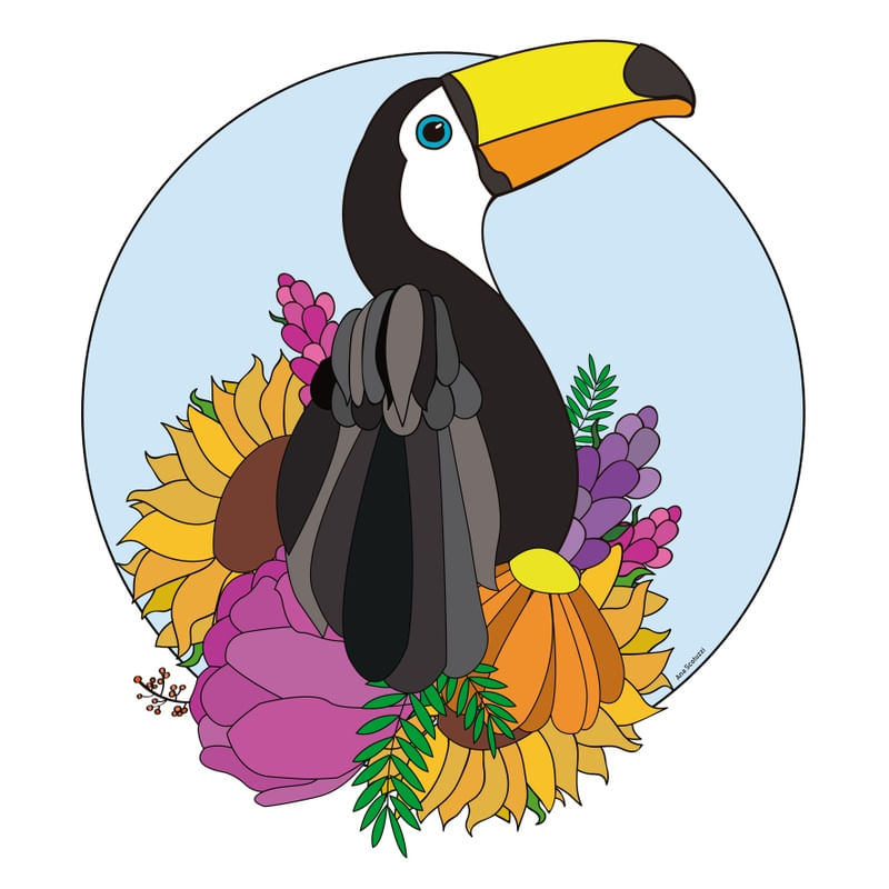 TUCANO EM FLORES