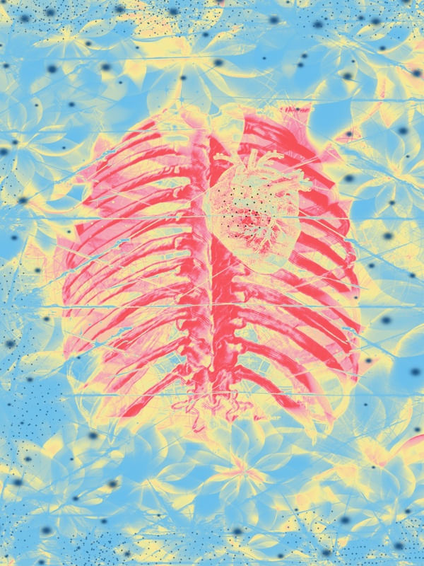 RADIOGRAFIA DA FRAGILIDADE