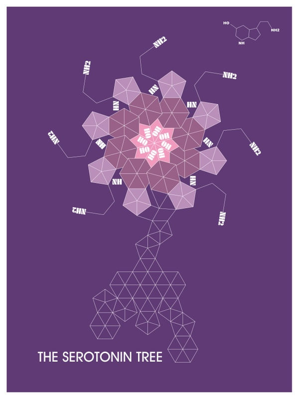 THE SEROTONIN TREE