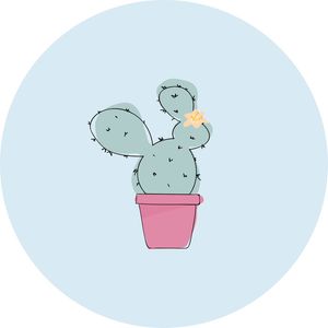 GUADALUPE
