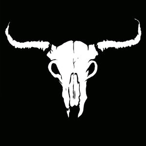 CRÂNE BLANC BOVINE