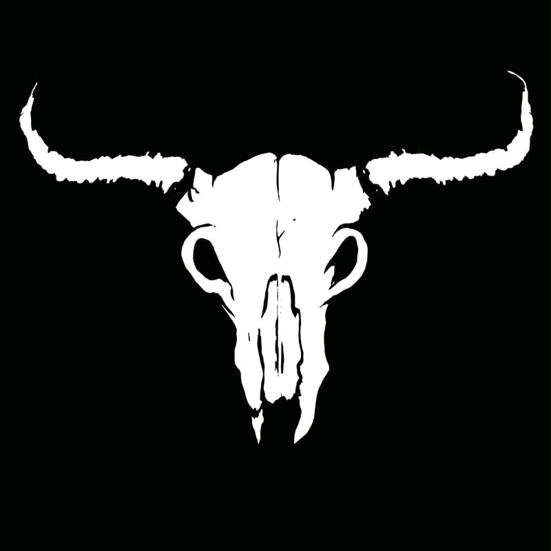 CRÂNE BLANC BOVINE