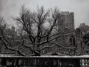 SNOW IN CENTRAL PARK 2