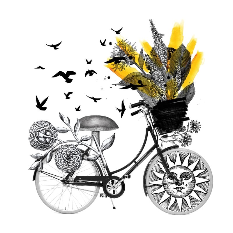 BICICLETINHA