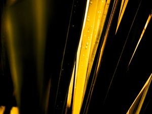 FOLHAS DE OURO - 05