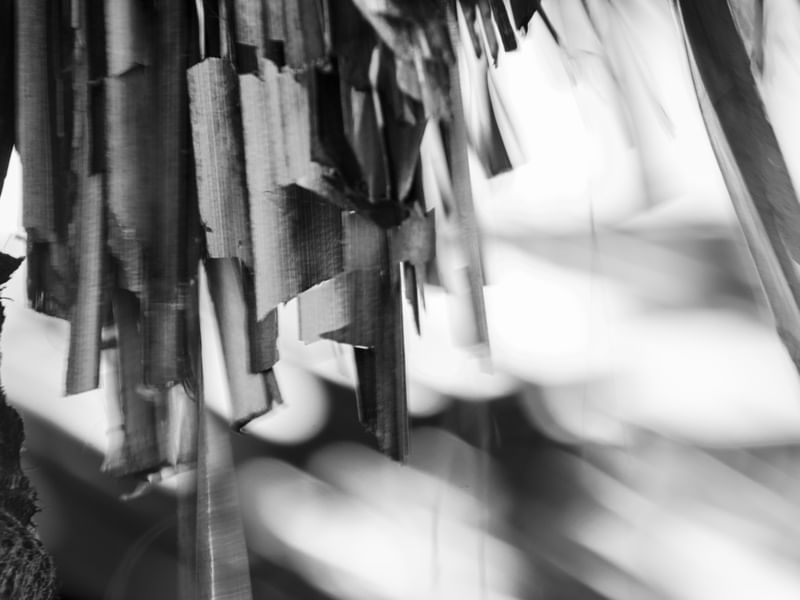 MOVIMENTO - 01
