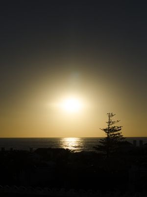 NATUREZA EM TELA - 09