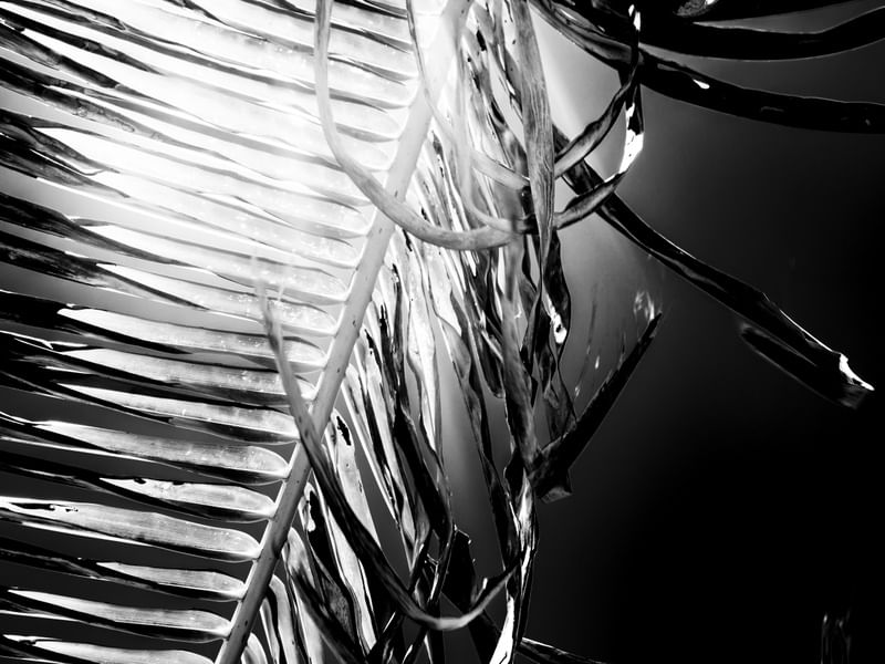 MOVIMENTO - 04