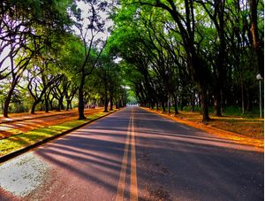 CIDADE - PIRACICABA AVENIDA CRUZEIRO DO SUL