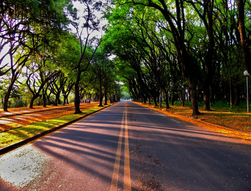 CIDADE - PIRACICABA AVENIDA CRUZEIRO DO SUL