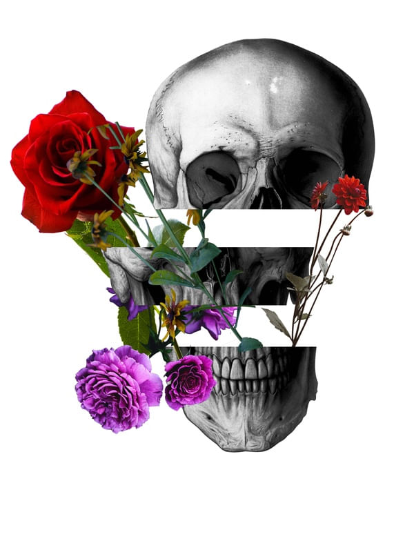 S COOL 2