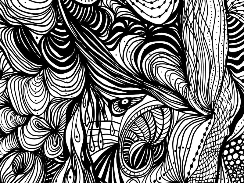 ORGANISMOS ORGÂNICOS RAIZES DA ALMA 03