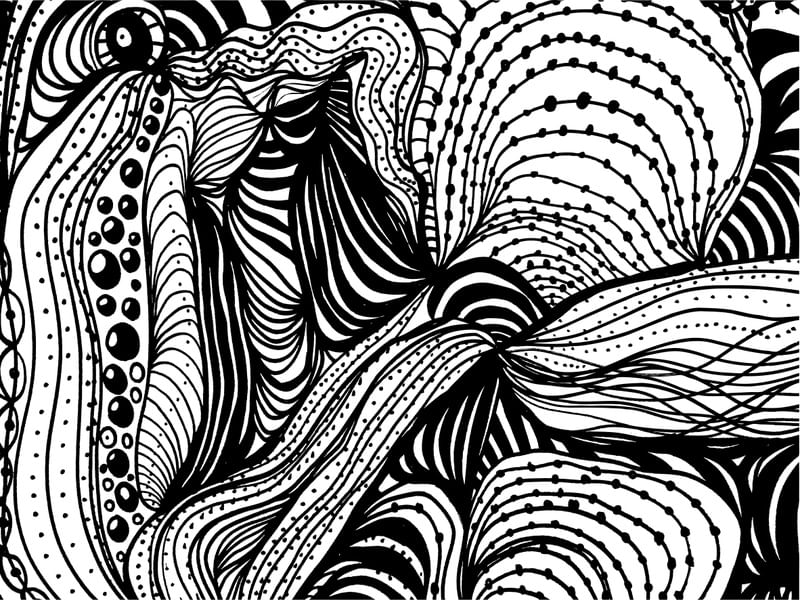 ORGANISMOS ORGÂNICOS RAIZES DA ALMA 04