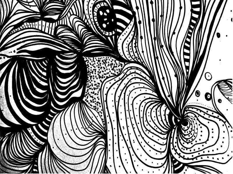 ORGANISMOS ORGÂNICOS RAIZES DA ALMA 08